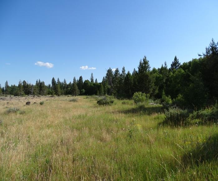 1.44 Acres in Northeast Klamath Co, OR