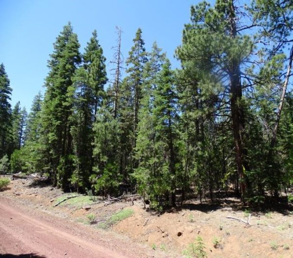 1.01 Acres in Modoc County, CA - Image 4