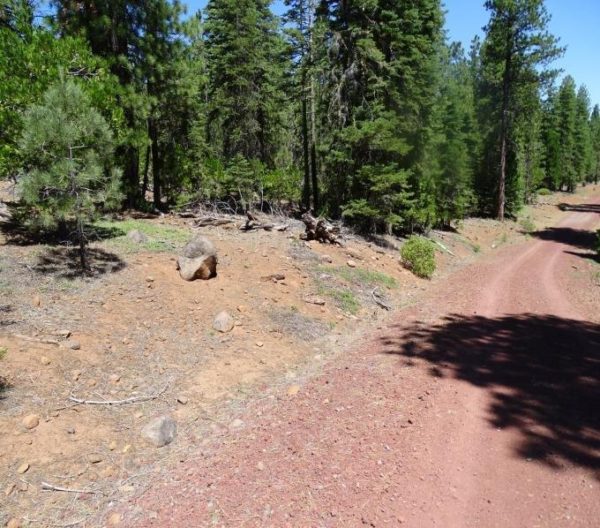 1.01 Acres in Modoc County, CA - Image 3