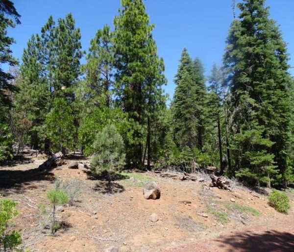 1.01 Acres in Modoc County, CA