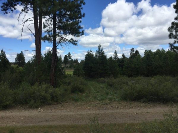 1.59 Acres near Sprague River, OR - Image 7