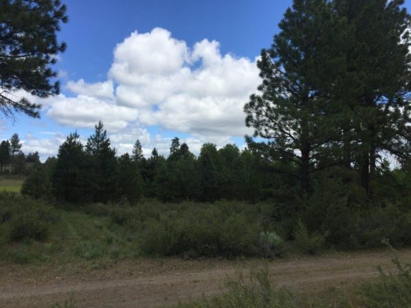 1.59 Acres near Sprague River, OR - Image 6