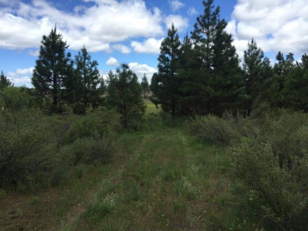 1.59 Acres near Sprague River, OR - Image 4