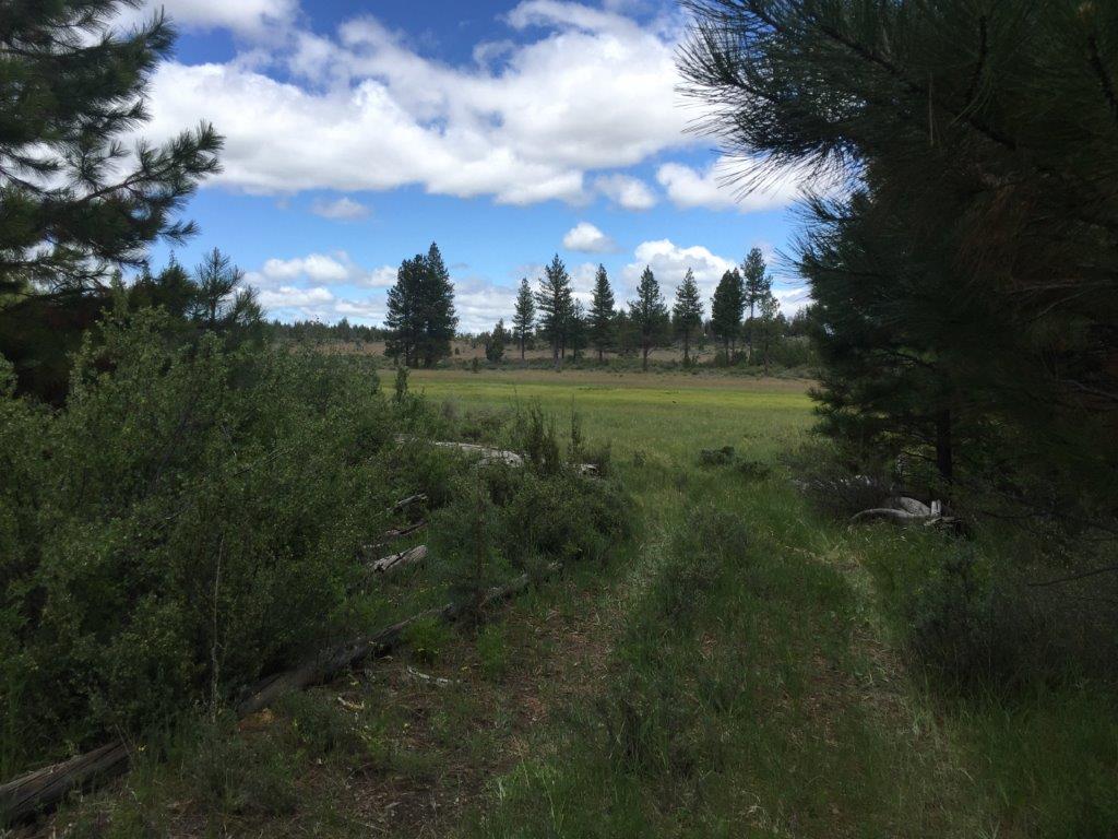 1.59 Acres near Sprague River, OR