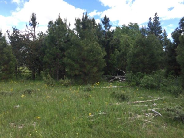 1.59 Acres near Sprague River, OR - Image 3