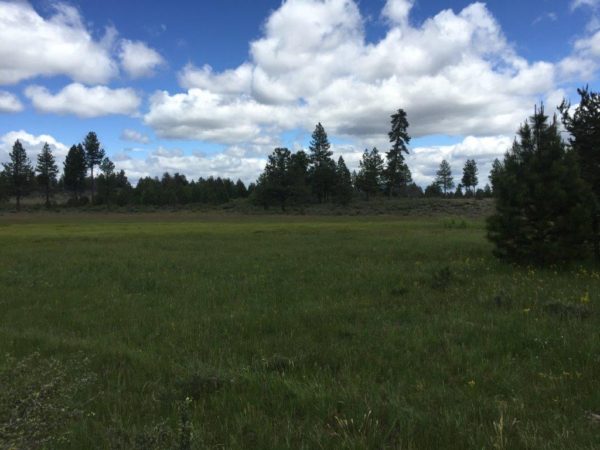 1.59 Acres near Sprague River, OR - Image 9
