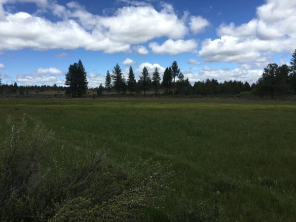 1.59 Acres near Sprague River, OR - Image 8