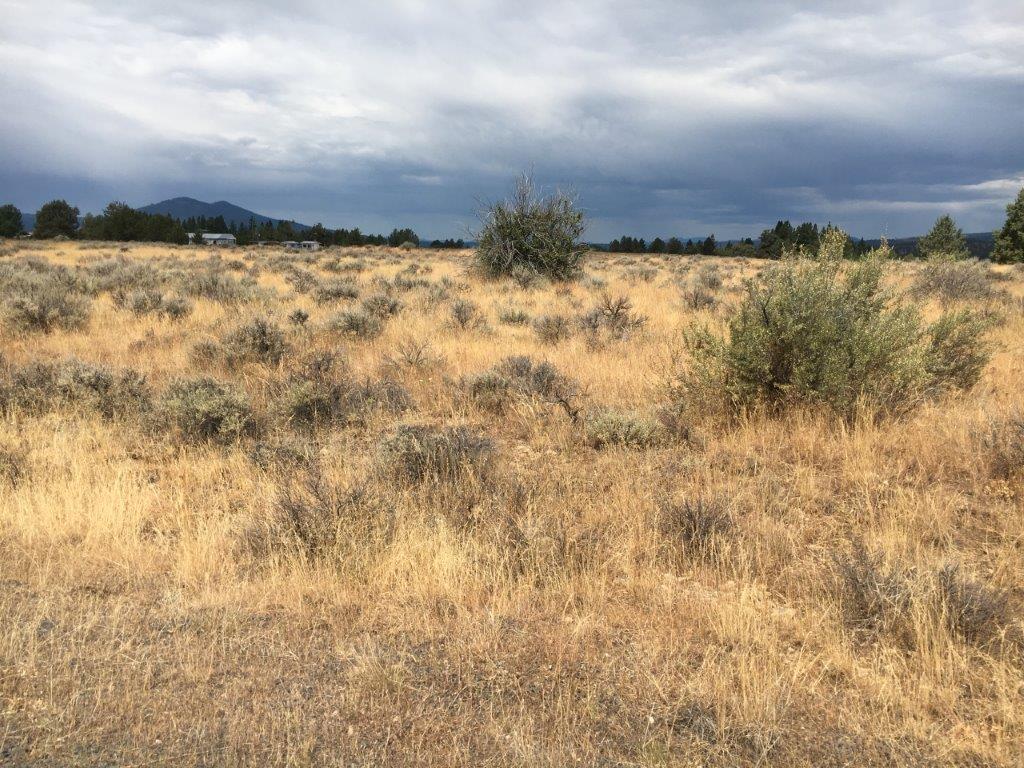 1.51 Acres near Sprague River, OR