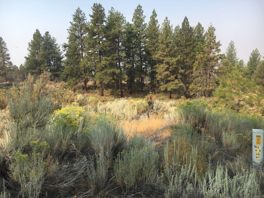 2.27 Acres in Klamath County