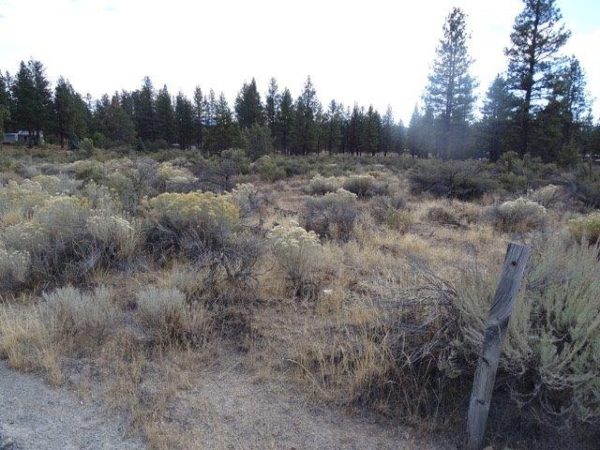2.40 Acres in Sprague River, OR - Image 7