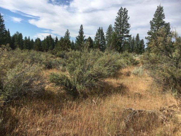2.40 Acres in Sprague River, OR - Image 6