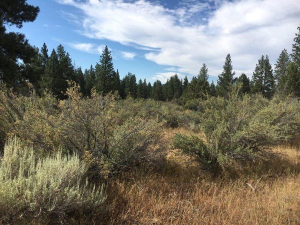 2.40 Acres in Sprague River, OR - Image 8
