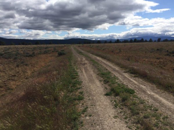 2.69 Acres near Sprague River, OR - Image 11