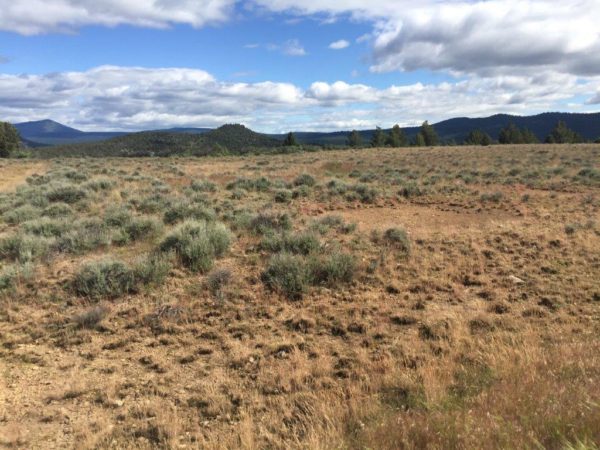2.69 Acres near Sprague River, OR - Image 10