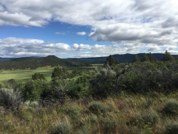 2.69 Acres near Sprague River, OR - Image 7