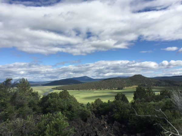 2.69 Acres near Sprague River, OR - Image 6