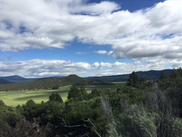 2.69 Acres near Sprague River, OR - Image 5