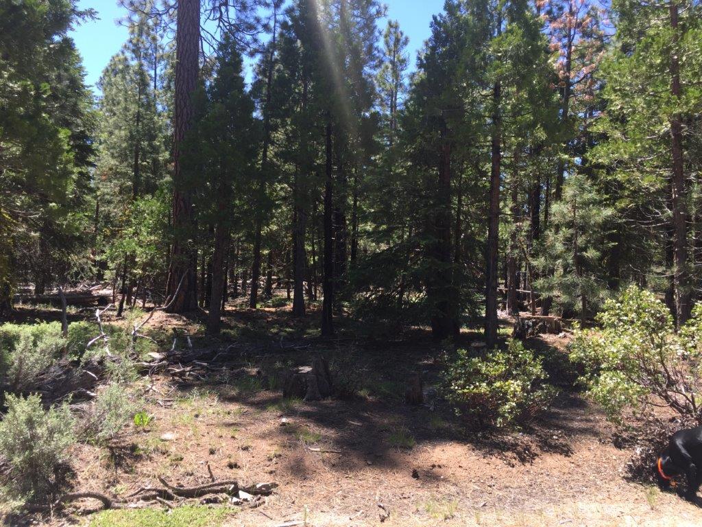 2.3 Acres in Klamath County, OR