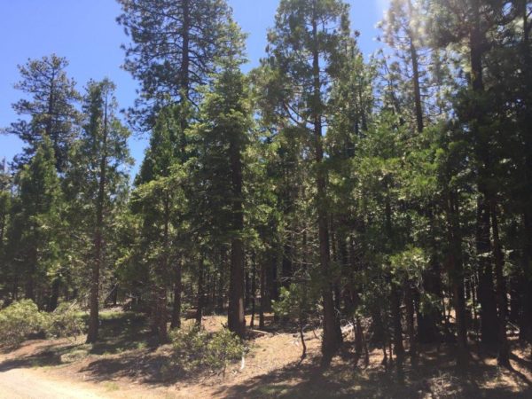 2.3 Acres in Klamath County, OR - Image 9