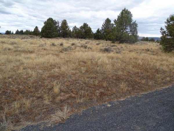 2.27 acres in Klamath County, OR - Image 3