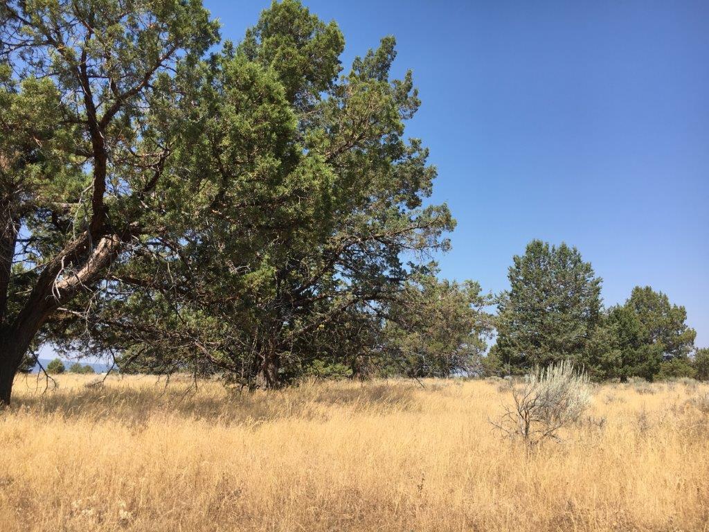 2.27 acres in Klamath County, OR