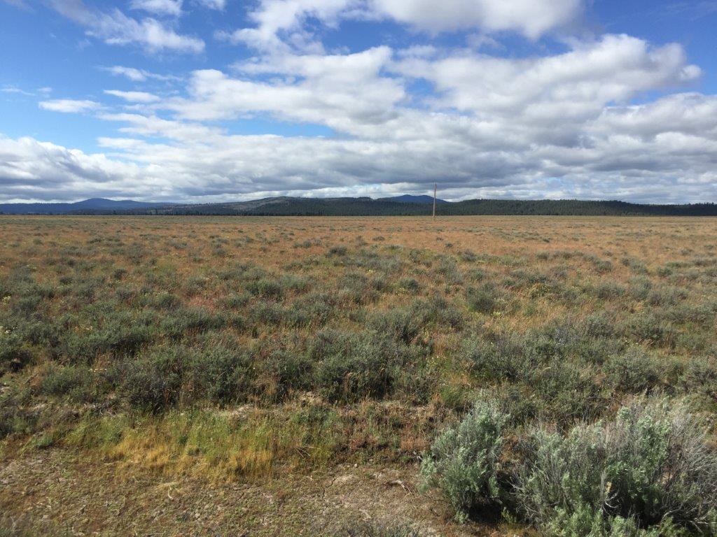 5.21 Acres in Southern Oregon