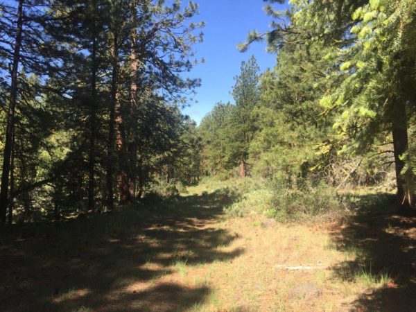 2.22 Acres in Klamath County, OR - Image 6