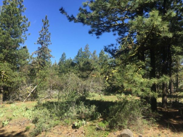 2.22 Acres in Klamath County, OR - Image 5