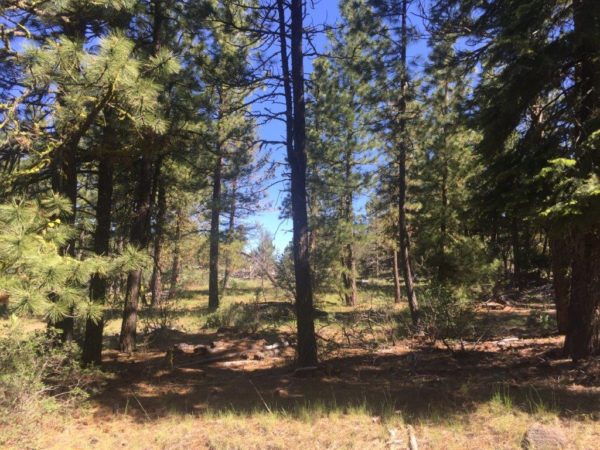 2.22 Acres in Klamath County, OR - Image 4