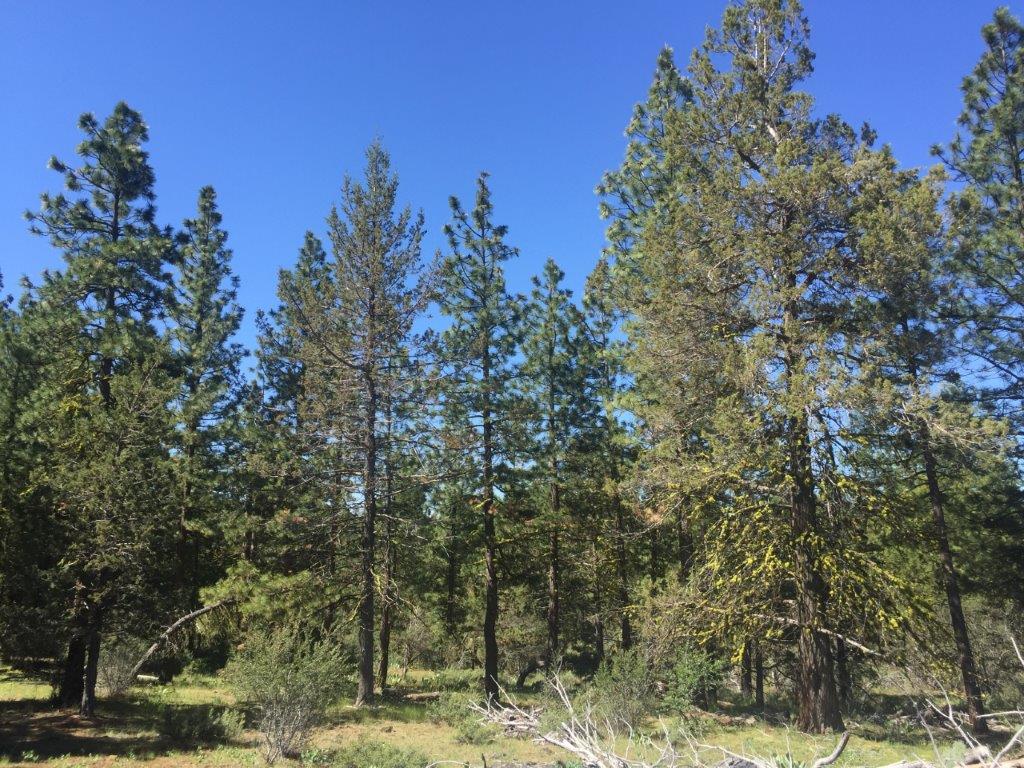 2.22 Acres in Klamath County, OR