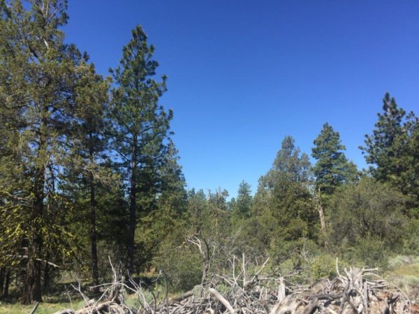 2.22 Acres in Klamath County, OR - Image 3