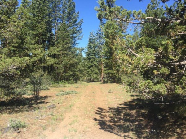 2.22 Acres in Klamath County, OR - Image 10