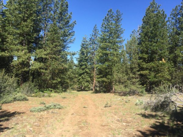 2.22 Acres in Klamath County, OR - Image 9