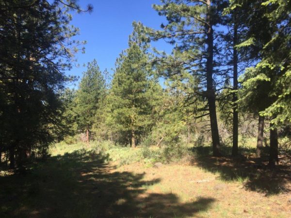 2.22 Acres in Klamath County, OR - Image 7