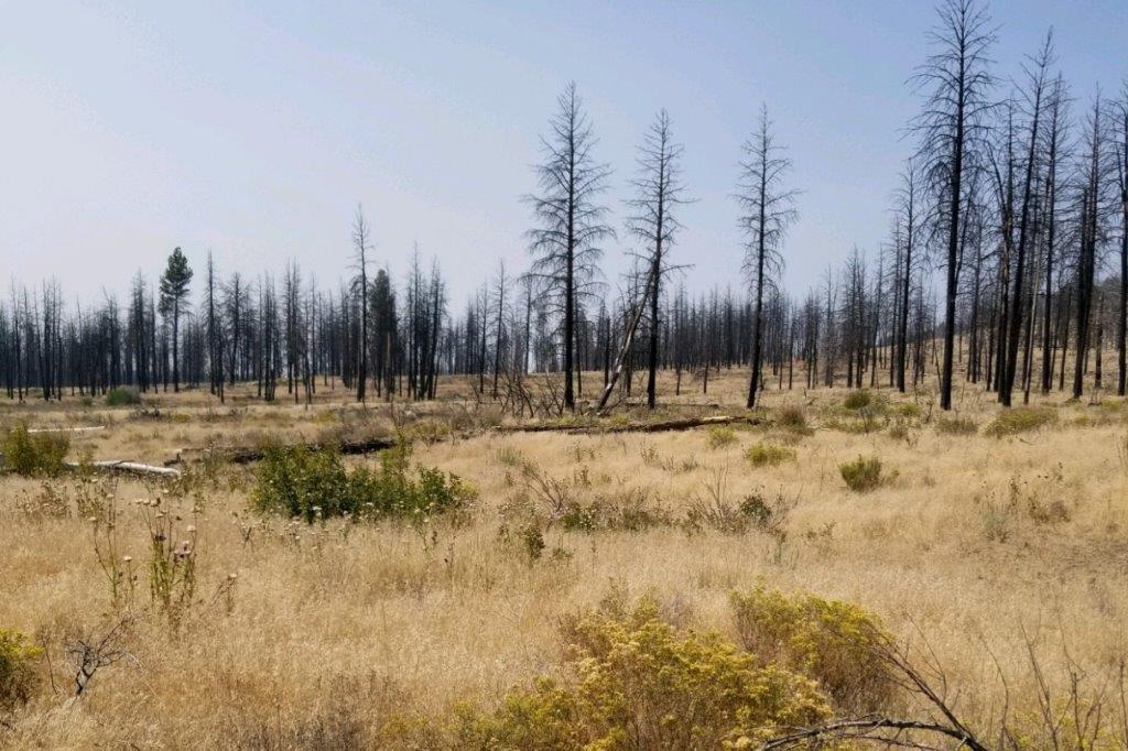 7.64 acres in Southern Oregon