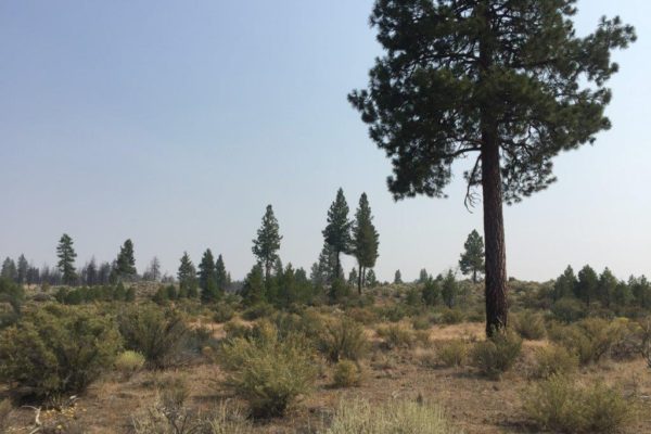 2.39 acres in Klamath County, OR - Image 9