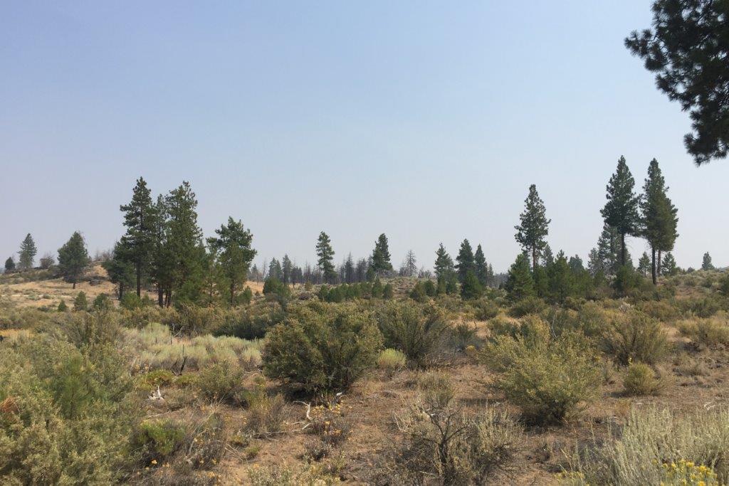 2.39 acres in Klamath County, OR