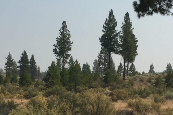 2.39 acres in Klamath County, OR - Image 4