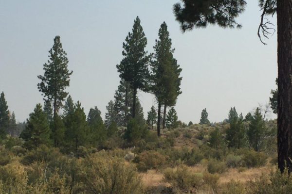 2.39 acres in Klamath County, OR - Image 3