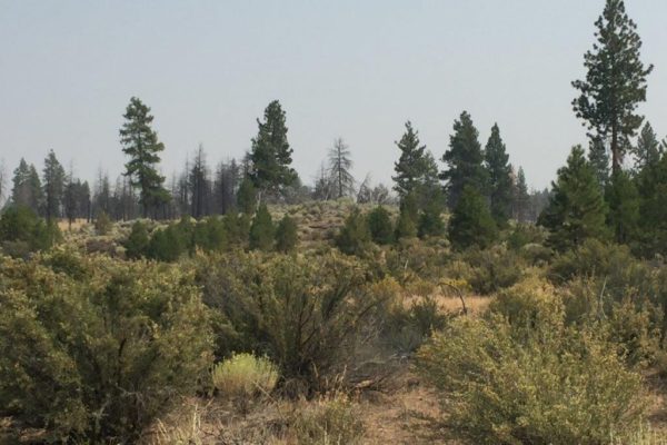 2.39 acres in Klamath County, OR - Image 2