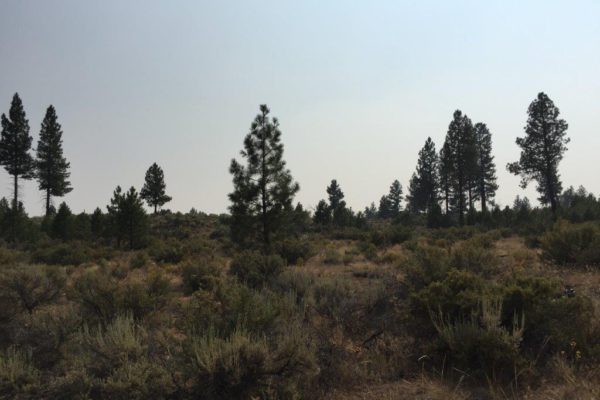 2.39 acres in Klamath County, OR - Image 7
