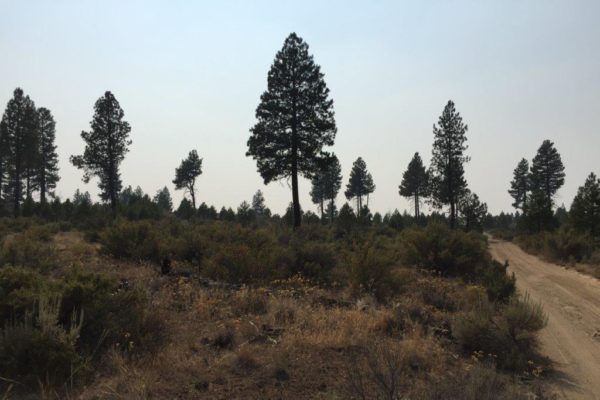2.39 acres in Klamath County, OR - Image 6