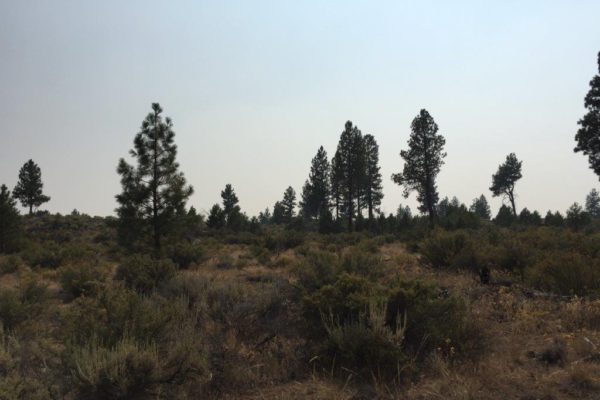 2.39 acres in Klamath County, OR - Image 5
