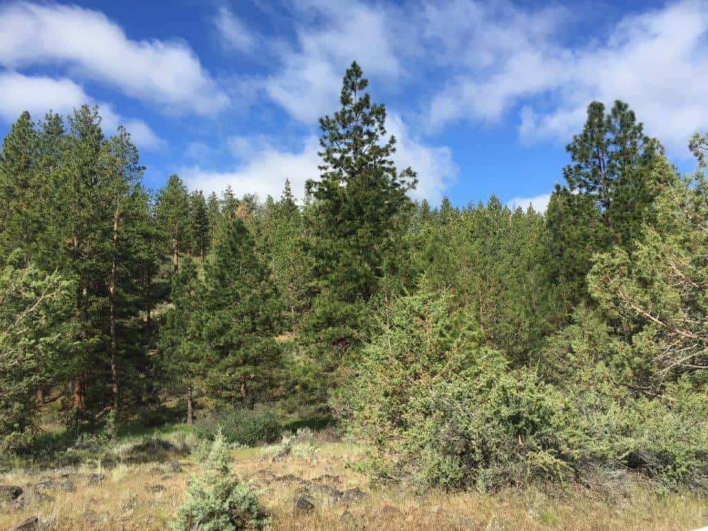 1.88 Acres near Dairy, OR
