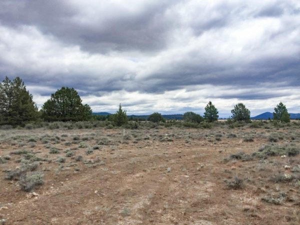 1.52 Acres in Klamath County - Image 5