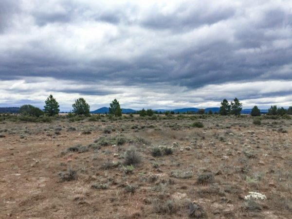 1.52 Acres in Klamath County - Image 6