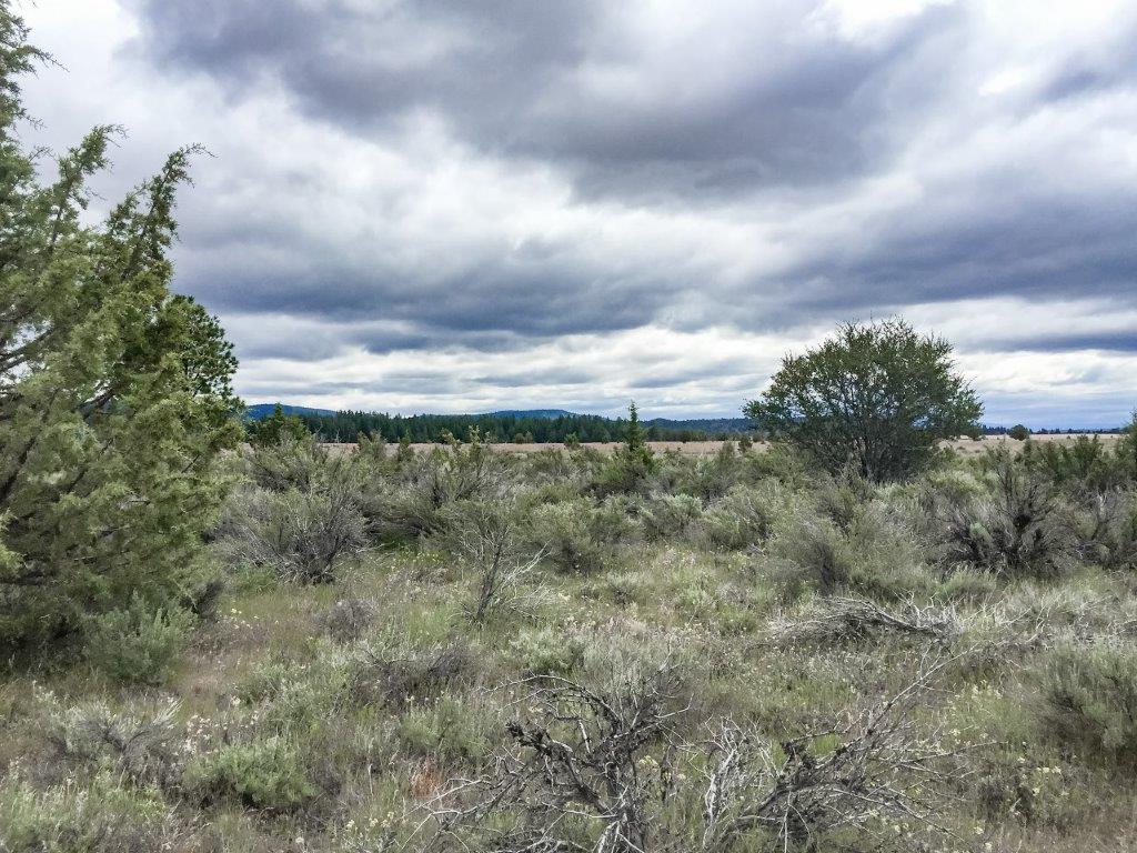 1.52 Acres in Klamath County