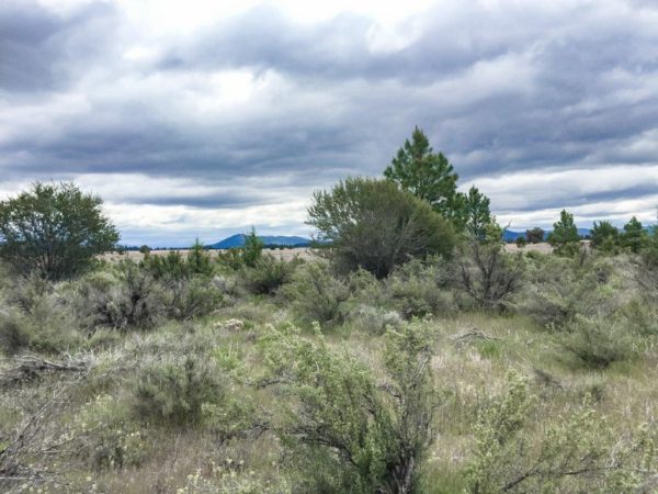 1.52 Acres in Klamath County - Image 3