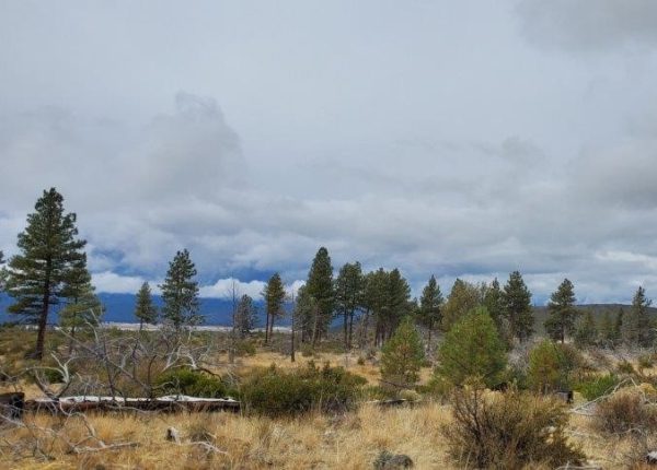 2.25 acres near Sprague River, OR - Image 6
