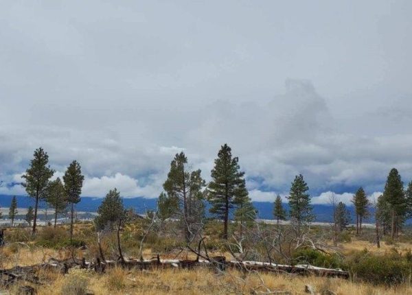 2.25 acres near Sprague River, OR - Image 3
